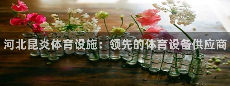 意昂3集团：河北昆炎体育设施：领先的体育设备供应商