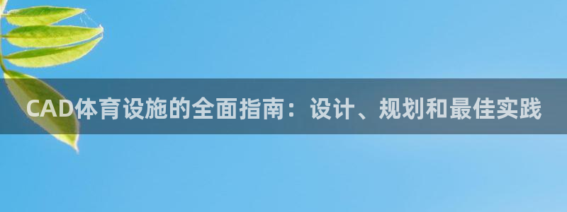 意昂3开户：CAD体育设施的全面指南：设计、规划和最