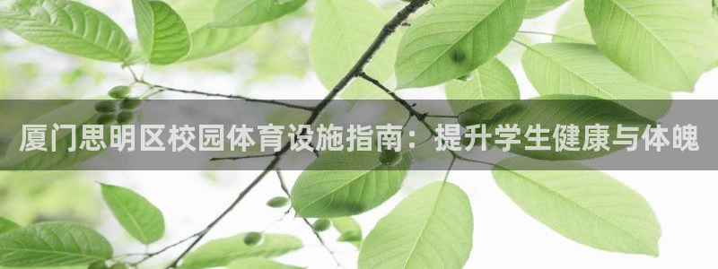 意昂体育3招商：厦门思明区校园体育设施指南：提升学生