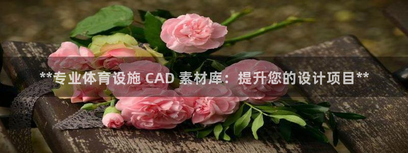 意昂体育3招商电话是多少号码：**专业体育设施 CAD 素材