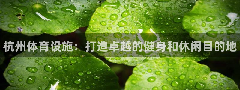 意昂体育3招商电话号码查询：杭州体育设施：打造卓越的