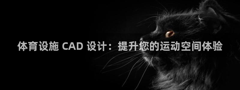 注册意昂3：体育设施 CAD 设计：提升您的运动空间